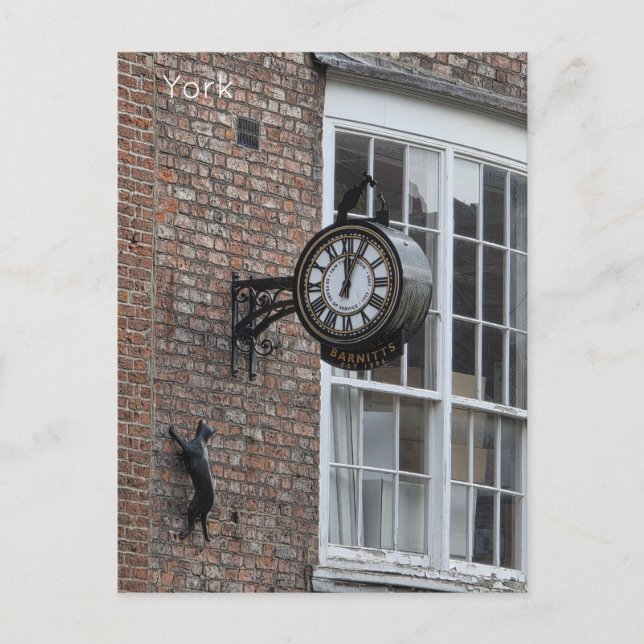 Postal Gato de York (Anverso)
