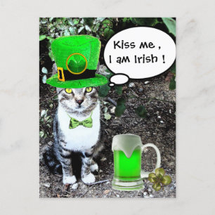 POSTAL GATO DEL DÍA DE SAN PATRICK CON CERVEZA IRLANDESA