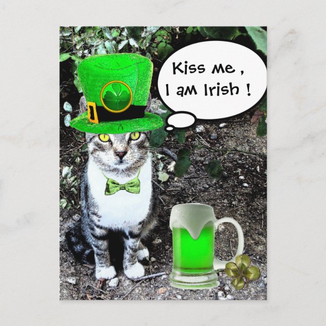 POSTAL GATO DEL DÍA DE SAN PATRICK CON CERVEZA IRLANDESA  (Anverso)