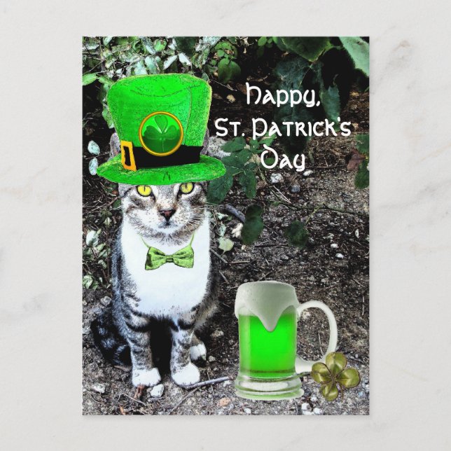 POSTAL GATO DEL DÍA DE SAN PATRICK CON CERVEZA IRLANDESA  (Anverso)