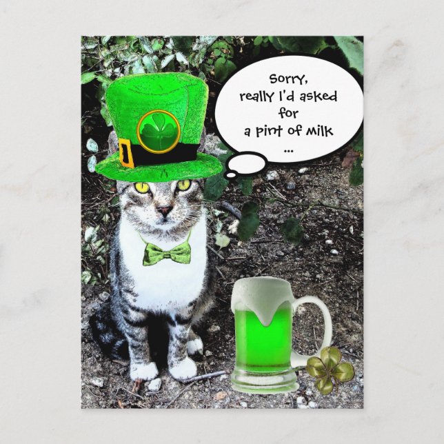 POSTAL GATO DEL DÍA DE SAN PATRICK CON CERVEZA IRLANDESA  (Anverso)
