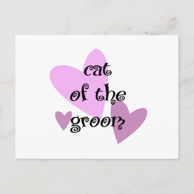 Postal Gato del Groom (Anverso)