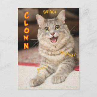 Postal Gato del payaso