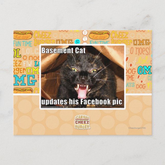 Postal Gato del sótano (Anverso)