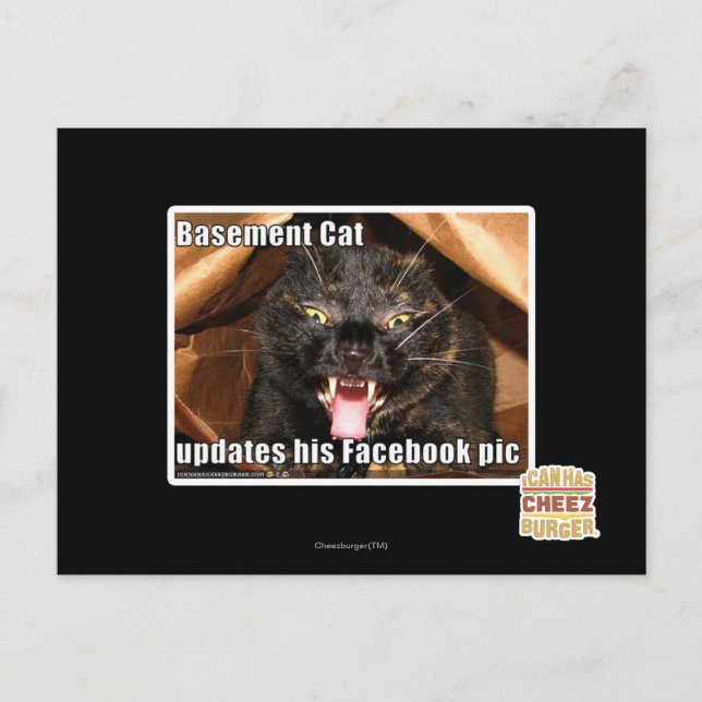 Postal Gato del sótano (Anverso)