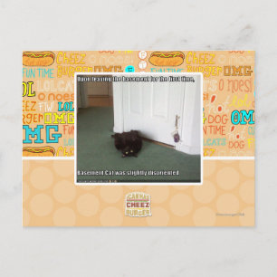 Postal Gato del sótano, ligeramente desorientado