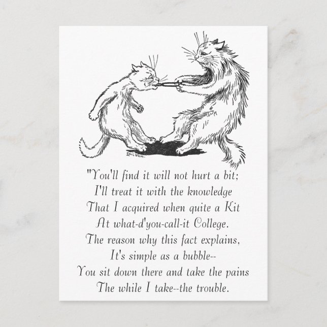 Postal Gato Dentista Tirando Diente (Anverso)