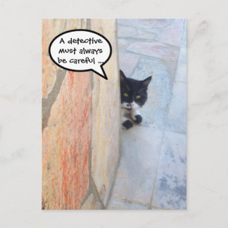 Postal GATO DETECTIVO DETRÁS DE LA PARED DE PIEDRA / Día