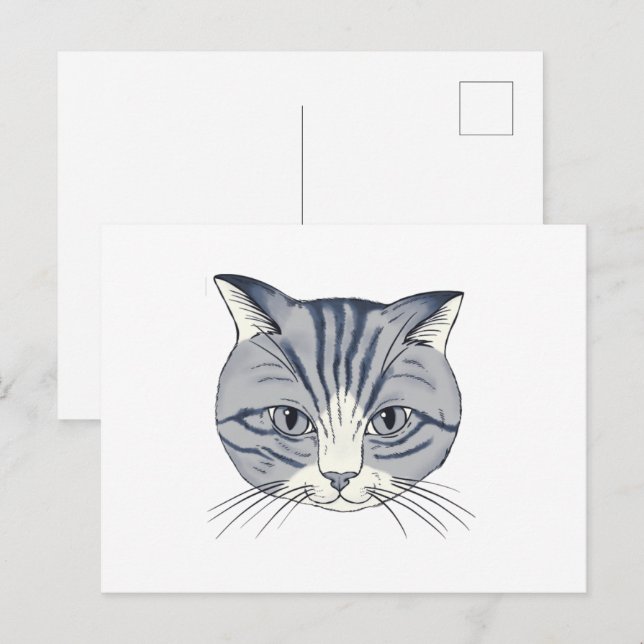 Postal Gato dibujado a mano (Anverso / Reverso)