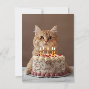 Postal Gato divertido con pastel de cumpleaños