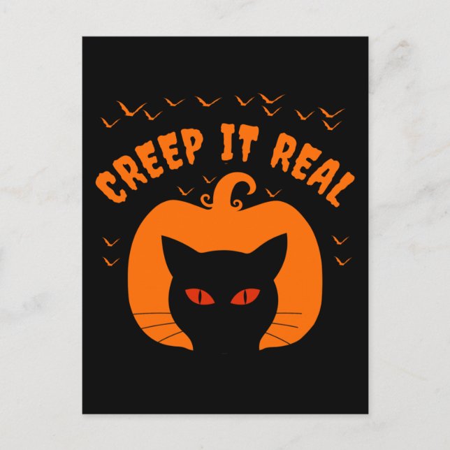 POSTAL GATO DIVERTIDO DE HALLOWEEN QUE SE PONE RARO (Anverso)