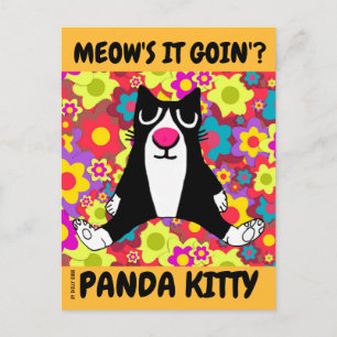 POSTAL GATO DIVERTIDO SENTADO COMO PERSONA PANDA KITTY PO