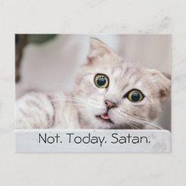 Postal Gato Divertido Texto