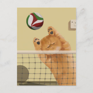 Postal Gato divertido y caprichoso juguetón: voleibol