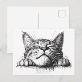 Postal Gato durmiendo