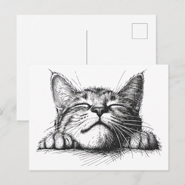 Postal Gato durmiendo (Anverso / Reverso)
