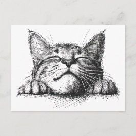 Postal Gato durmiendo