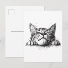 Postal Gato durmiendo