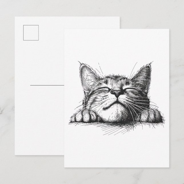 Postal Gato durmiendo (Anverso / Reverso)