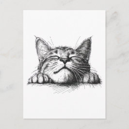 Postal Gato durmiendo