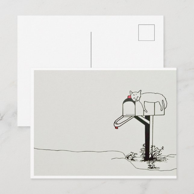 Postal Gato Durmiendo Esperando Correo (Anverso / Reverso)