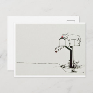 Postal Gato Durmiendo Esperando Correo