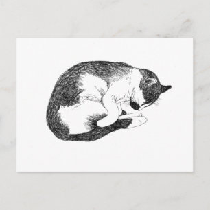 Postal Gato durmiendo: Recordatorio suave para descansar