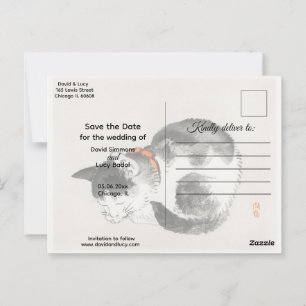 Postal Gato durmiente