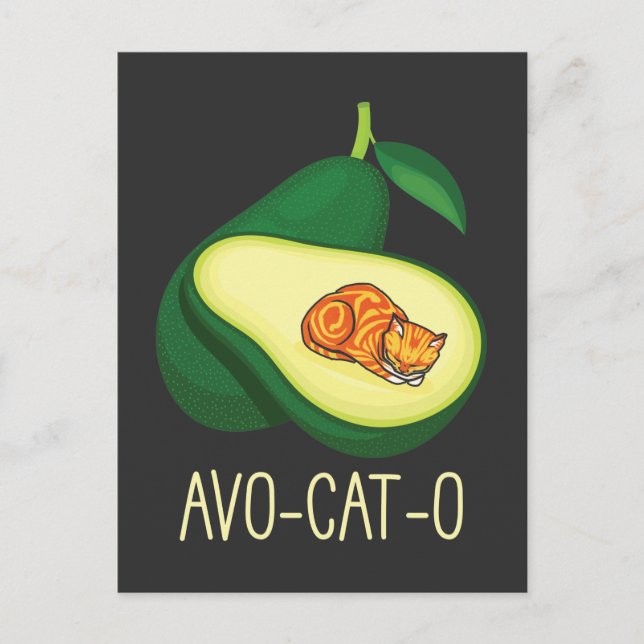 Postal Gato durmiente aguacate aguacate lindo bollo anima (Anverso)