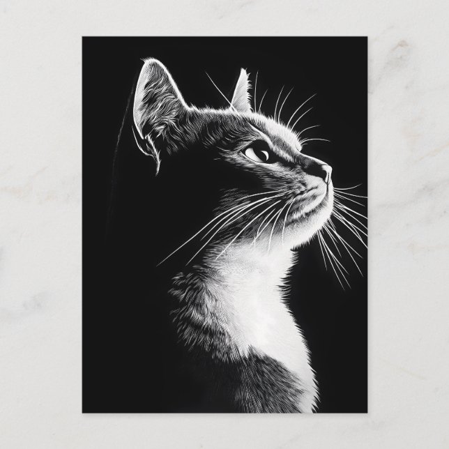 Postal Gato elegante (Anverso)