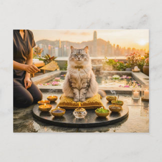 Postal Gato en Aromaterapia de Azotea