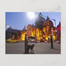 Postal Gato en Bucarest, Rumania