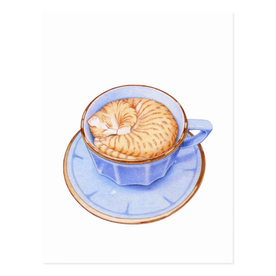 Postal Gato en café