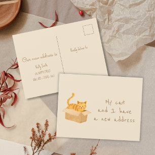 Postal Gato en caja y en caja   Traslado a domicilio