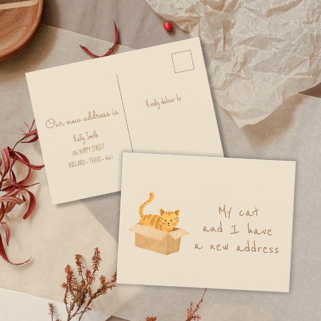 Postal Gato en caja y en caja | Traslado a domicilio (Subido por el creador)