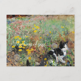 Postal Gato en cama floja