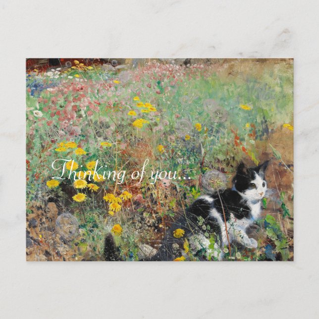 Postal Gato en cama floja (Anverso)