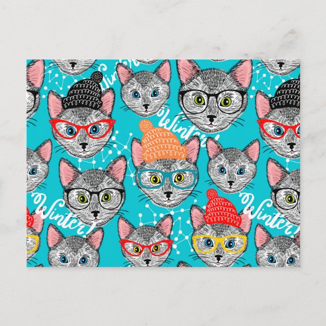 Postal Gato en el gorra (Anverso)