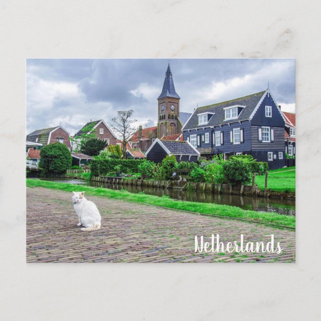 Postal Gato en el pueblo pesquero tradicional (Anverso)