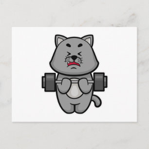 Postal Gato en entrenamiento de bíceps con barra