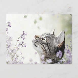 Postal Gato en flores