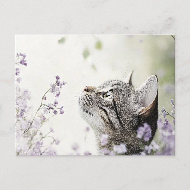 Postal Gato en flores (Anverso)
