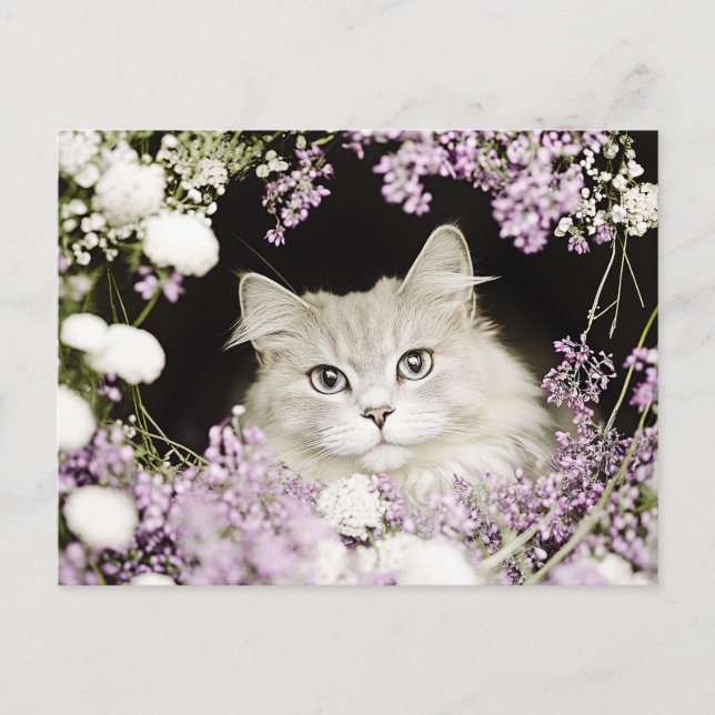 Postal Gato en Flores (Anverso)