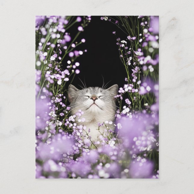 Postal Gato en flores (Anverso)