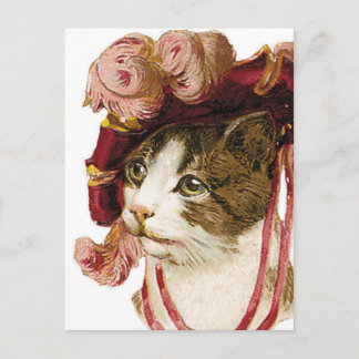 Postal Gato en Gorra victoriano