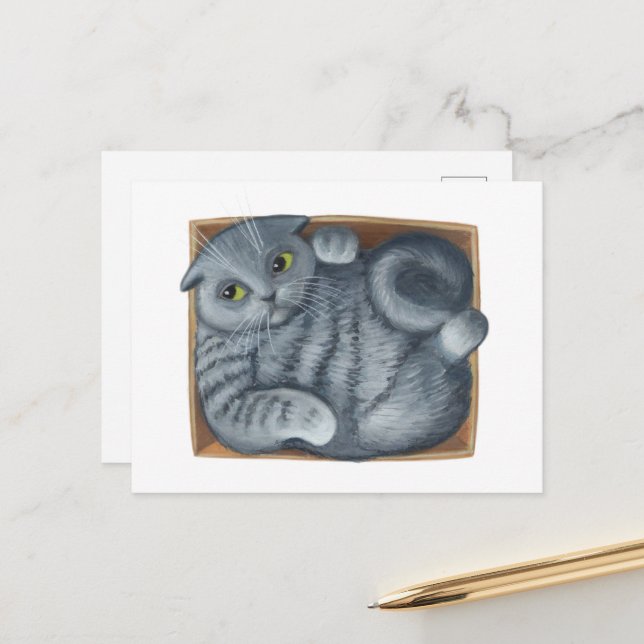 Postal Gato en la caja (Anverso/Reverso In Situ)