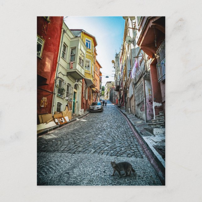 Postal Gato en la calle de Estambul (Anverso)