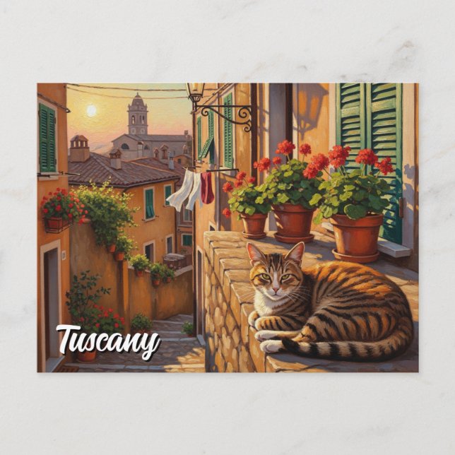Postal Gato en la Italia toscana (Anverso)