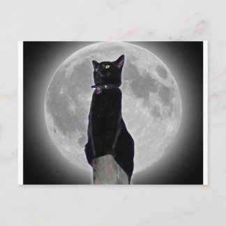Postal Gato en la luna
