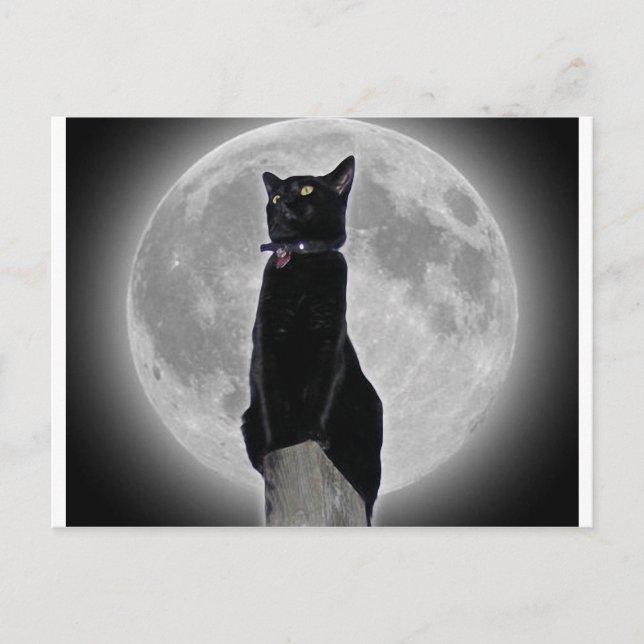 Postal Gato en la luna (Anverso)